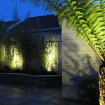 Bamboo forest and plant lighting effects at night