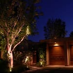 Lighting effects for buildings and trees at night