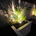 Nighttime plant lighting effects