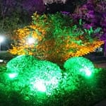Night landscape lighting pictures